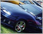 Calibra Group zdj�cie tygodnia